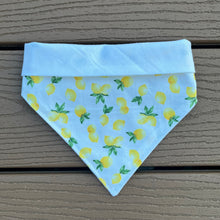 Load image into Gallery viewer, Reversible Vinyl Pet Bandana “Squeeze the Day”