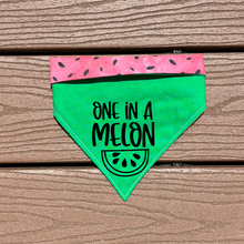 Load image into Gallery viewer, Reversible Vinyl Pet Bandana “One in a Melon”