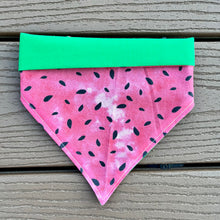 Load image into Gallery viewer, Reversible Vinyl Pet Bandana “One in a Melon”