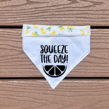 Load image into Gallery viewer, Reversible Vinyl Pet Bandana “Squeeze the Day”
