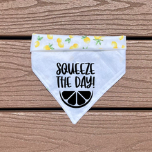 Load image into Gallery viewer, Reversible Vinyl Pet Bandana “Squeeze the Day”
