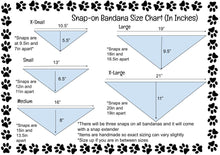 Load image into Gallery viewer, Reversible Pet Bandana “Wild Child”