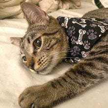 Load image into Gallery viewer, Reversible Pet Model Bandana “Rigbone”