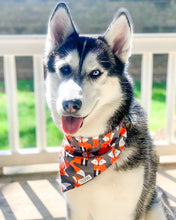 Load image into Gallery viewer, Reversible Pet Bandana “Grey Fox”