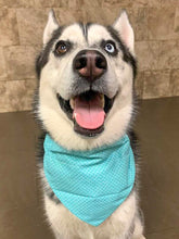 Load image into Gallery viewer, Reversible Pet Bandana “Rainy Day”