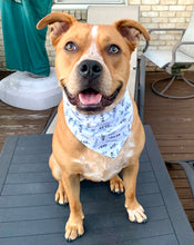 Load image into Gallery viewer, Reversible Pet Bandana “Catching the Blues”