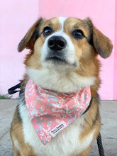 Load image into Gallery viewer, Reversible Pet Bandana “Coral Reef”