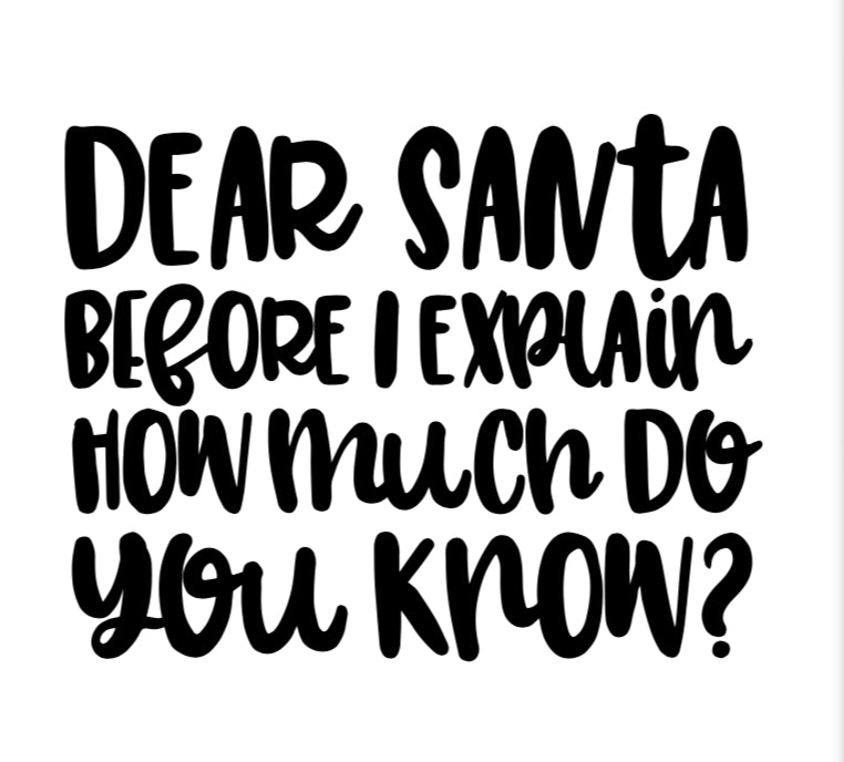 Vinyl Quote Add on: Dear Santa, before I explain how much do you know?