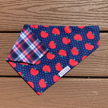 Load image into Gallery viewer, Reversible Pet Bandana “Apple of your eye”