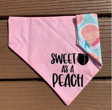 Load image into Gallery viewer, Reversible Pet Bandana “Sweet as a Peach”
