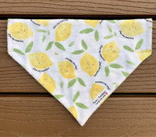 Load image into Gallery viewer, Reversible Pet Bandana “Lemon drop”