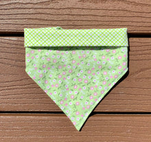 Load image into Gallery viewer, Reversible Pet Bandana “Green with Envy”