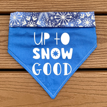 Load image into Gallery viewer, Reversible Pet Bandana “Up to Snow Good”

