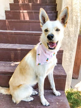 Load image into Gallery viewer, Reversible Pet Bandana “Pineapple Dreams”