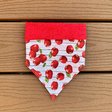 Load image into Gallery viewer, Reversible Pet Bandana “Apple cinnamon”