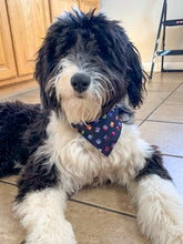 Load image into Gallery viewer, Reversible Pet Model Bandana “Rigbone”
