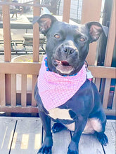 Load image into Gallery viewer, Reversible Pet Bandana “Cookie”