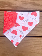 Load image into Gallery viewer, Reversible Pet Bandana “Hearts Connected”