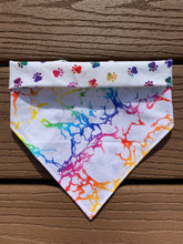 Load image into Gallery viewer, Reversible Pet Bandana “Rainbow Thunder”