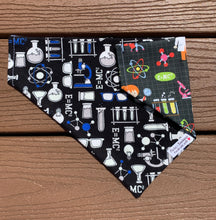 Load image into Gallery viewer, Reversible Pet Bandana “Women in STEM”