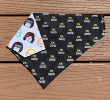 Load image into Gallery viewer, Reversible Pet Bandana “Schitt’s creek”