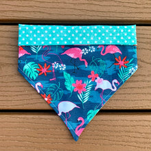 Load image into Gallery viewer, Reversible Pet Bandana “Flaming-en with my friends”