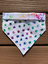 Load image into Gallery viewer, Reversible Pet Bandana “Rainbow Thunder”