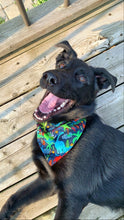 Load image into Gallery viewer, Reversible Pet Bandana “Dino-mite”