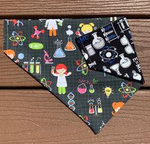 Load image into Gallery viewer, Reversible Pet Bandana “Women in STEM”