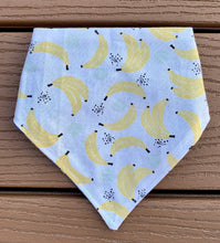 Load image into Gallery viewer, Reversible Pet Bandana “Monkey see Monkey do”
