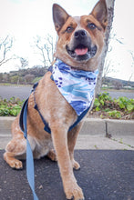 Load image into Gallery viewer, Reversible Pet Bandana "Painted Blues"