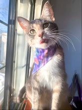 Load image into Gallery viewer, Reversible Pet Bandana “Magical”