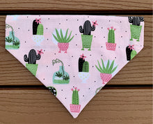Load image into Gallery viewer, Reversible Pet Bandana “A Succulent’s Journey”