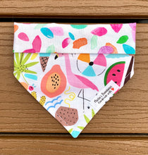 Load image into Gallery viewer, Reversible Pet Bandana “Beach Bum”