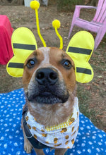 Load image into Gallery viewer, Reversible Pet Bandana “Bee beautiful”