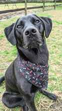 Load image into Gallery viewer, Reversible Pet Bandana “Red Camo”