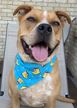 Load image into Gallery viewer, Reversible Pet Bandana “Rainy Day”