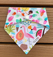 Load image into Gallery viewer, Reversible Pet Bandana “Beach Bum”