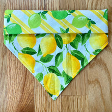 Load image into Gallery viewer, Reversible Pet Bandana “Lemon-Lime”