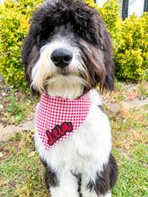 Load image into Gallery viewer, Vinyl Name Add-On with Shadow for Bandanas