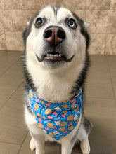 Load image into Gallery viewer, Reversible Pet Bandana “Cookie”