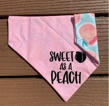 Load image into Gallery viewer, Reversible Pet Bandana “Sweet as a Peach”
