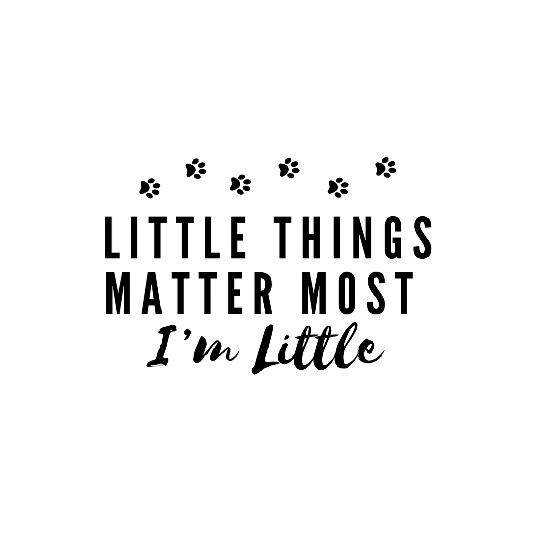 Vinyl Quote Add on: Little Things Matter Most, I’m Little