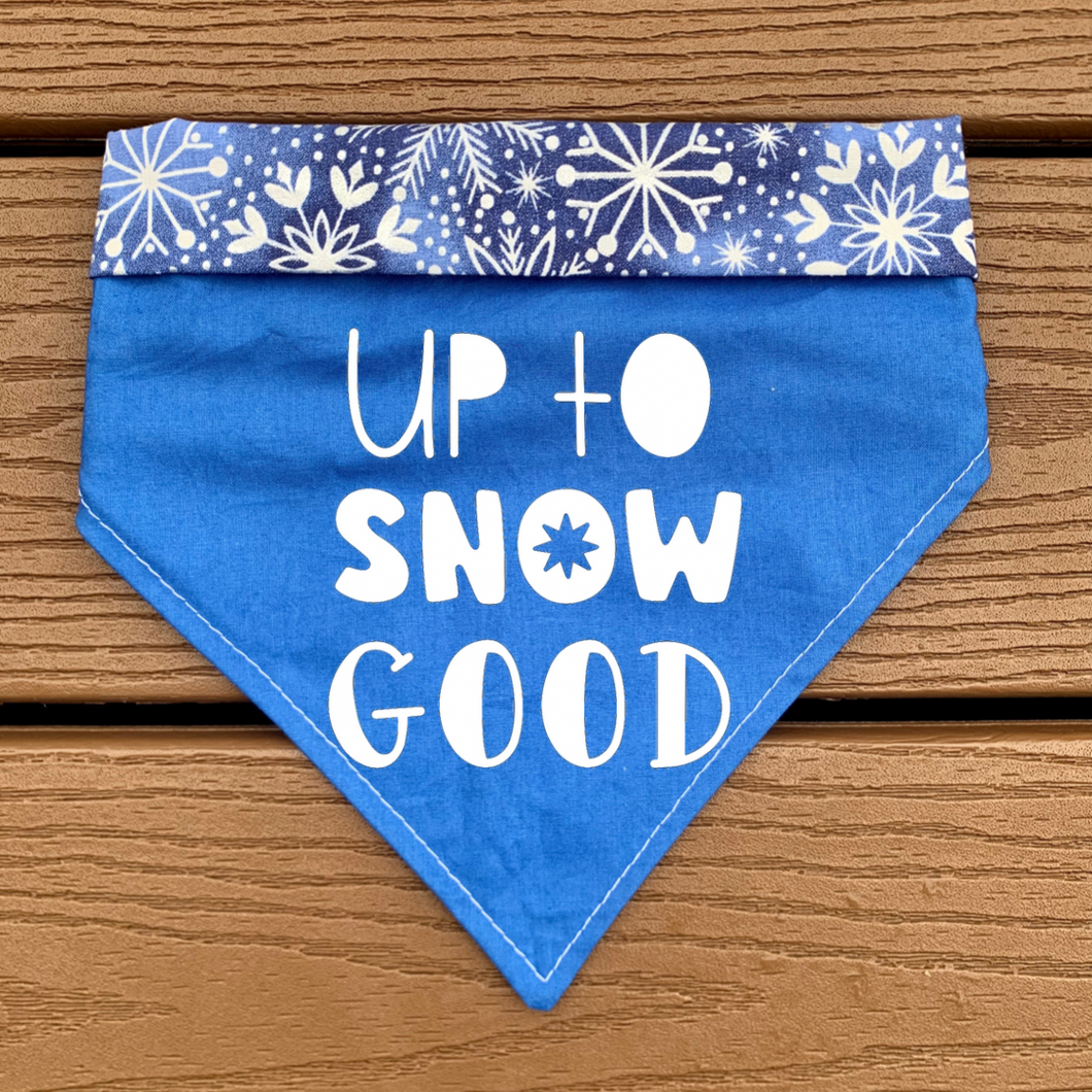 Reversible Pet Bandana “Up to Snow Good”