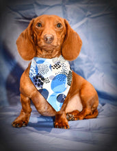 Load image into Gallery viewer, Reversible Pet Bandana “Catching the Blues”
