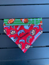 Load image into Gallery viewer, Reversible Pet Bandana “Ohio state”

