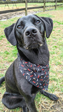 Load image into Gallery viewer, Reversible Pet Bandana “Red Camo”
