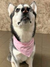 Load image into Gallery viewer, Reversible Pet Bandana “Cookie”
